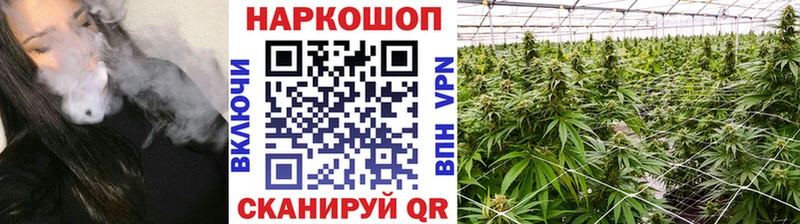 Виды наркоты Тихорецк ГАШ  Конопля  LSD-25  АМФЕТАМИН  кракен сайт  МЕФ  Alpha PVP  Cocaine 