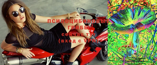 apvp Михайловка