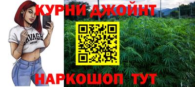 крисы Камышлов