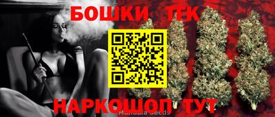 крисы Камышлов