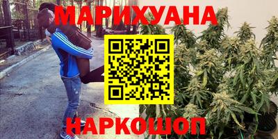 крисы Камышлов