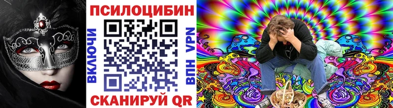 купить   Тихорецк  hydra как зайти  Галлюциногенные грибы MAGIC MUSHROOMS 