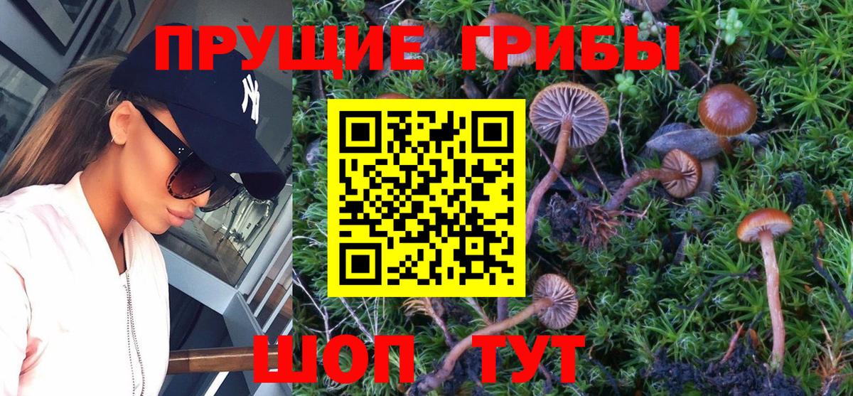 Галлюциногенные грибы ЛСД  Псилоцибиновые грибы мицелий  Вход с VPN  Тихорецк 