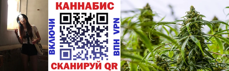 Бошки Шишки план  Тихорецк 